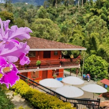 Hotel Orillas Del Pizano ハルディン エクステリア 写真