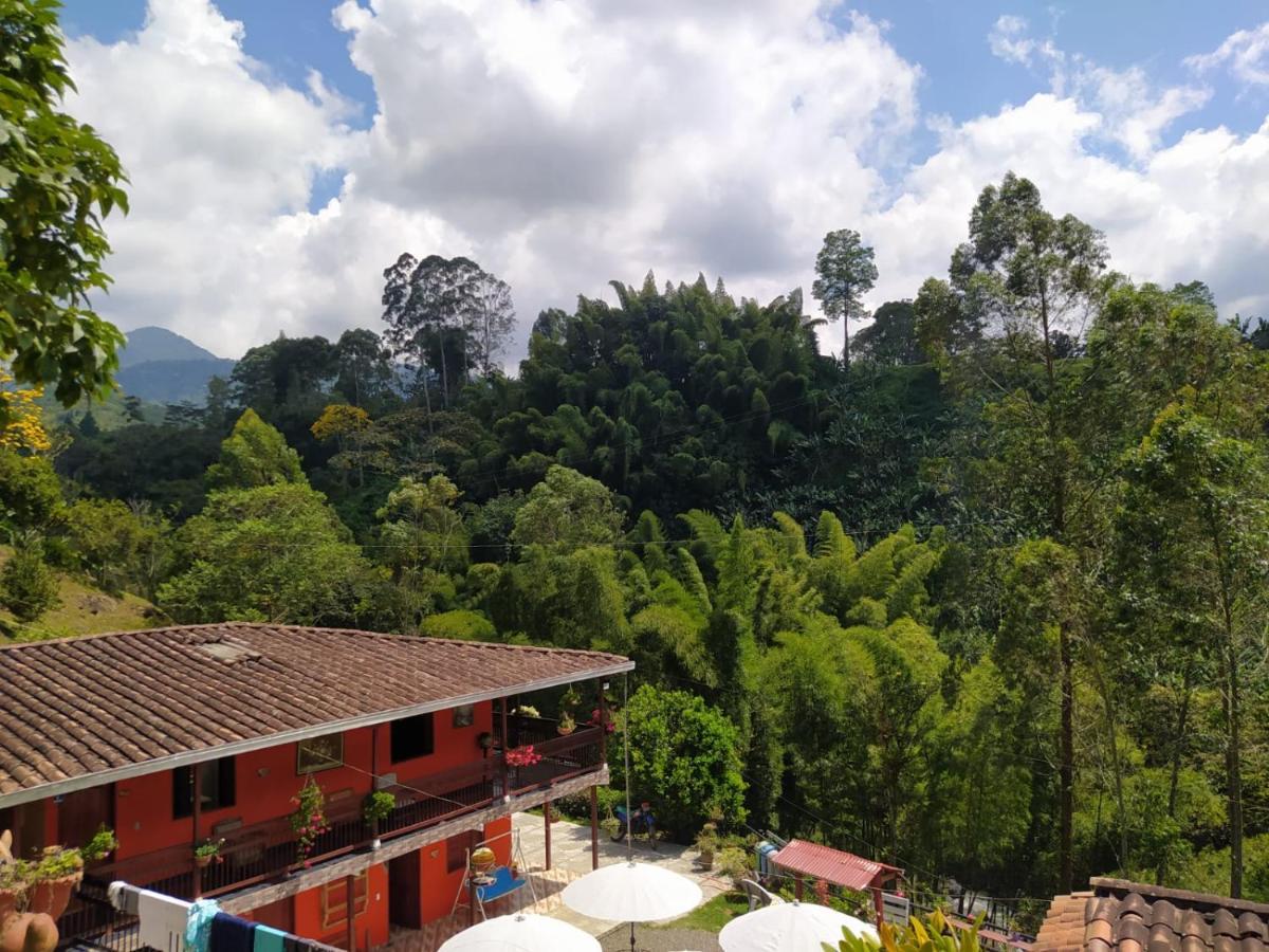 Hotel Orillas Del Pizano ハルディン エクステリア 写真